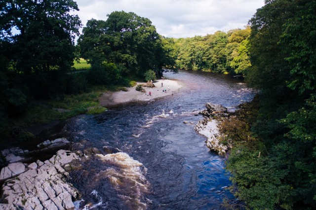 Closet Organ Tour 2019