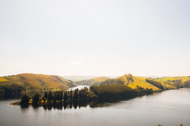 Closet Organ August tour 2019